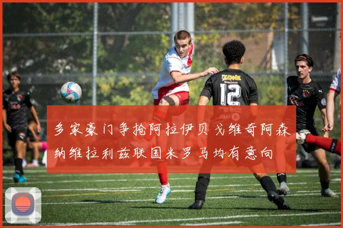 多家豪门争抢阿拉伊贝戈维奇阿森纳维拉利兹联国米罗马均有意向